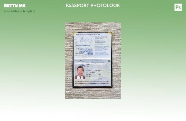 Шаблон за изглед на слика за пасош на Естонија во модерен стил